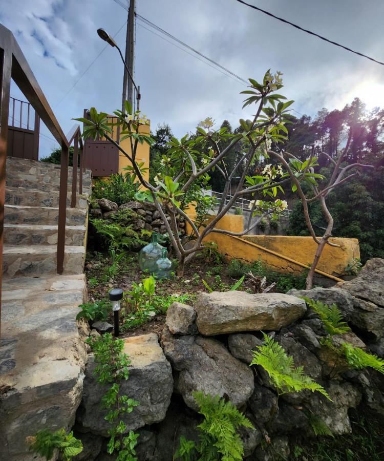 Vv Casa Muya Villa Icod De Los Vinos Exteriör bild